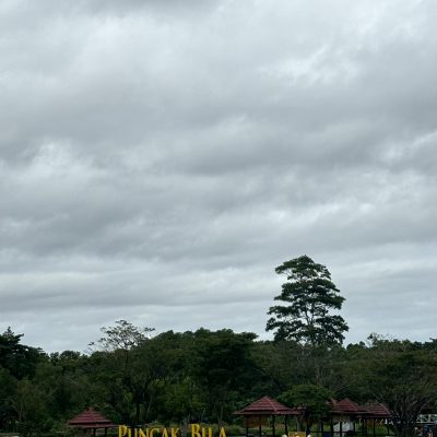IMG_0569